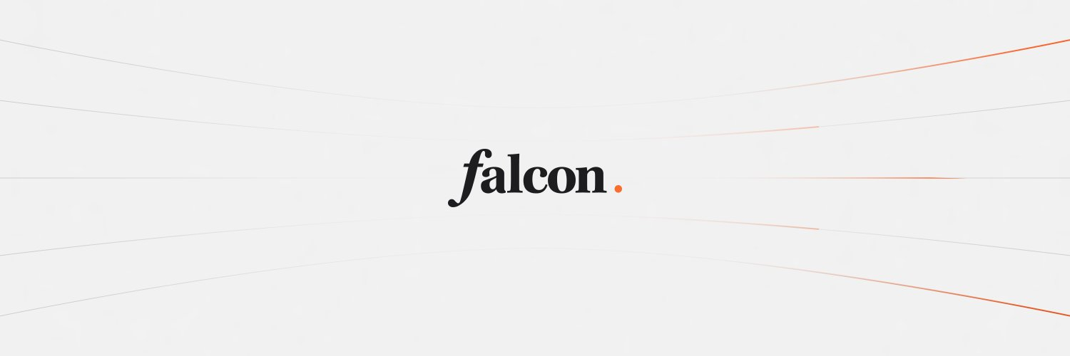 FALCON FINANCE case study